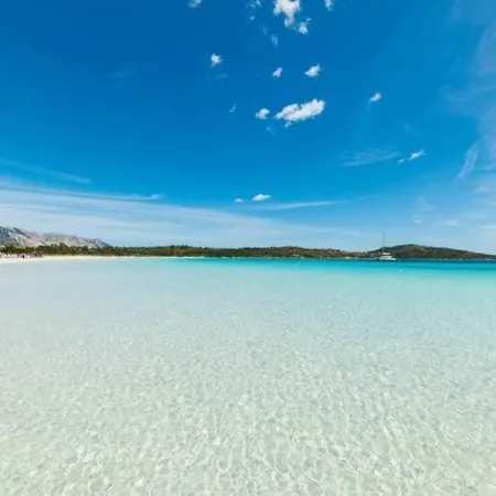 Camelie House Fede * Olbia