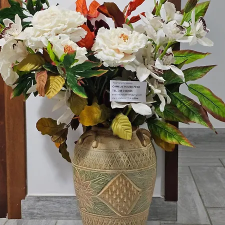 Camelie House Fede Appartamento Olbia